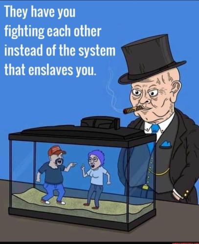 d1b1e507-64ce-4720-bdbb-db284270dd2d