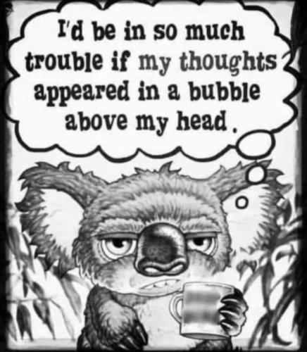 Screenshot_20240228_061525_Wimkin Free Speech Social Media