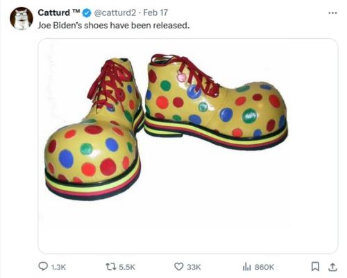 Joe Bidens shoes.960px