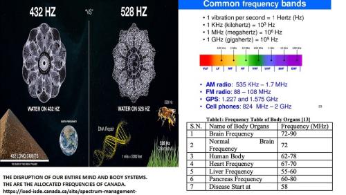 FREQUENCIES