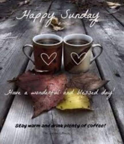 428598811_3848923058766554_1325588927552133518_n