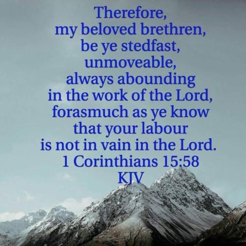 e8c68e87-6879-4cfb-a354-3ba1f9782514