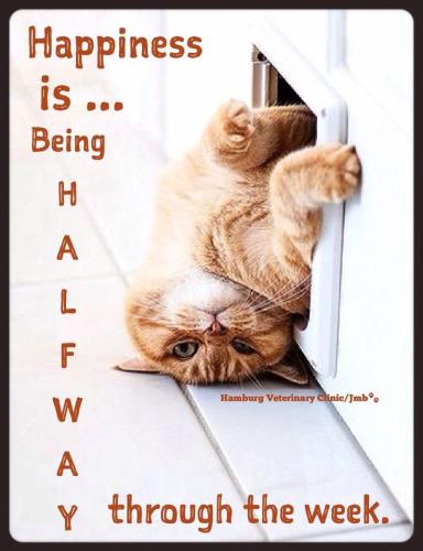 51a95c96f1e0e22460e58c4c6a63f69d