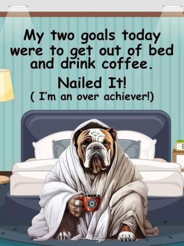 428613242_1129815458188338_5328982401743433783_n