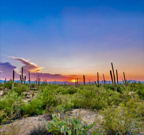 5FE9749F-E6FF-4BE6-A704-768A7E7E83F9