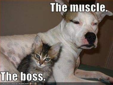 25314c35eb71506a08b9ecc12efe0ea8