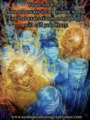 430079731_711100344533939_7797638560611827787_n