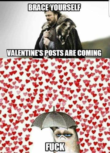 sngine_6ee8a29e07b178fc29ef92368ec7dda7