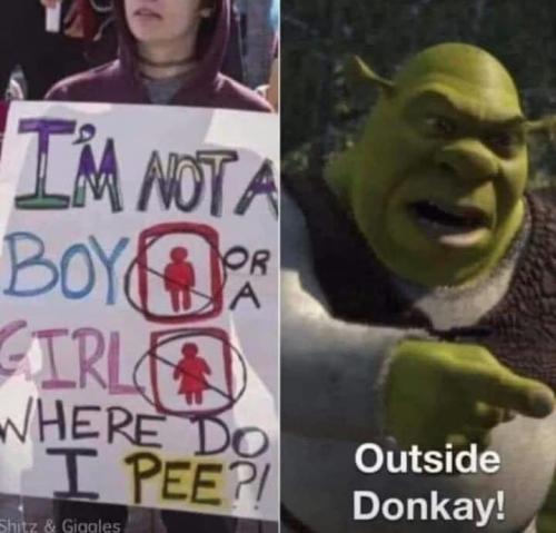 IMG_20240211_204009_129