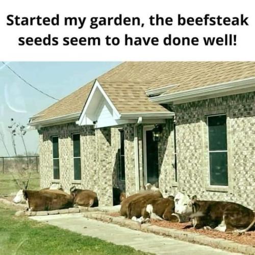 426104297_795944779246147_8544025988649541465_n