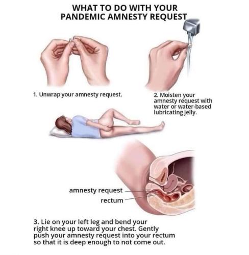 Pandemic amnesty request