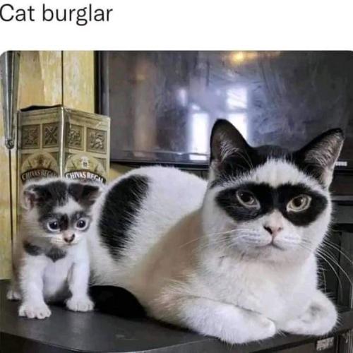 FB_IMG_1707102285063