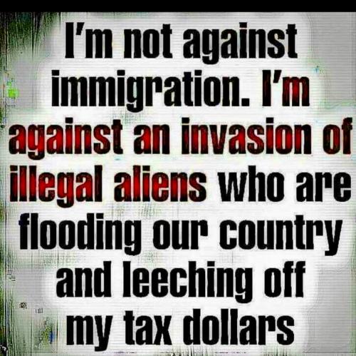 58777BD2-56D7-447C-9423-86F168C3942A