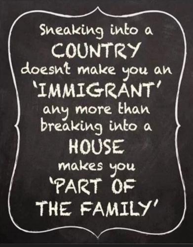 xephula_9eda136aa529222ab3a29a80a15707e8