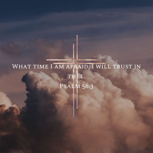 10:02:19 GMT-0500 (Eastern Standard Time).image