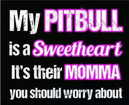 476617fa5e25004768878036823fa71e