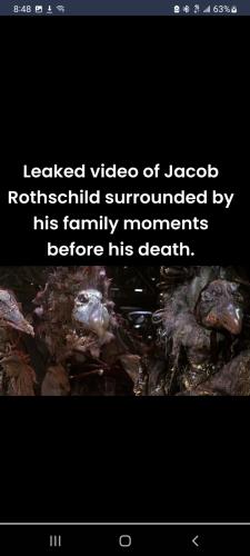 Screenshot_20240226-084859_Twellit