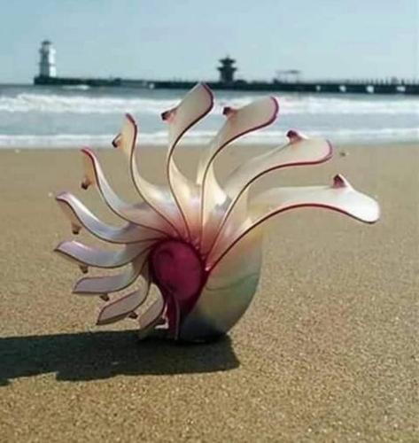 EF6104B9-E772-4CC5-9B1D-236236FF39B6