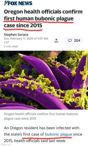 IMG_20240213_010203_520