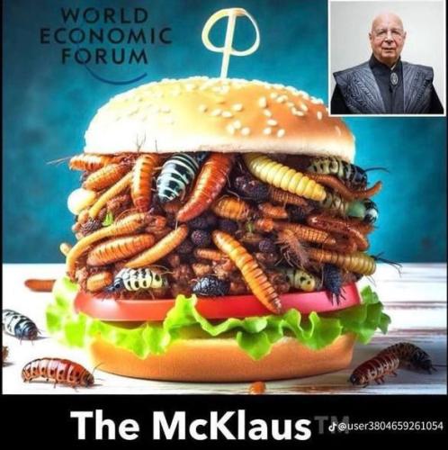 IMG_20240227_100706_591