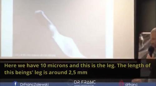 0C802520-61CF-4E02-9B9D-851B65D119C2