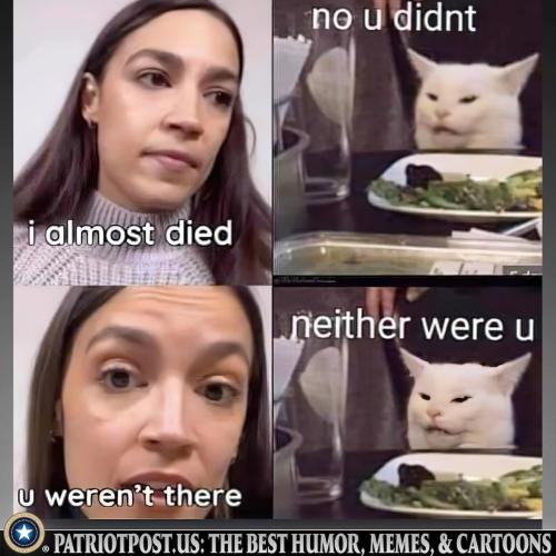 01HPG6K7BW85BB9ZVM1N7MSKZA