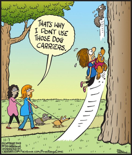 273201040_1327437281016523_180399340987716946_n