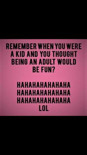 8902c98406fea3f5704f92600ed4fa41