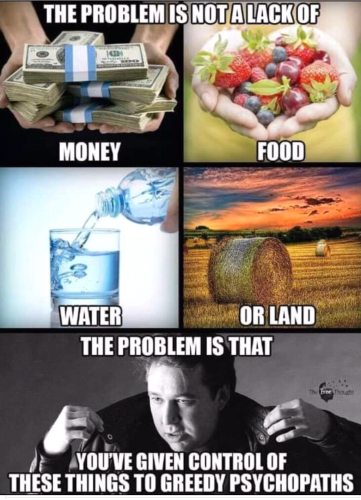 Screenshot_2024-02-11-04-24-25_kindlephoto-764716939