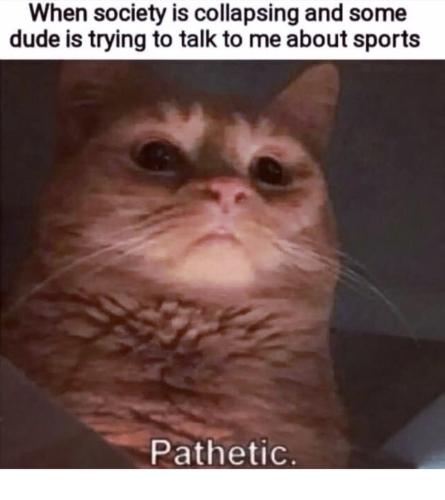 IMG_20240208_191009_127