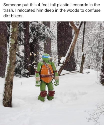 4 foot all turtle