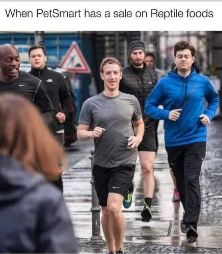 FB_IMG_1707468843065