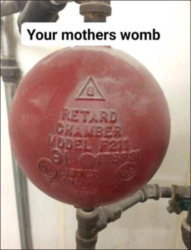 your mothers womb