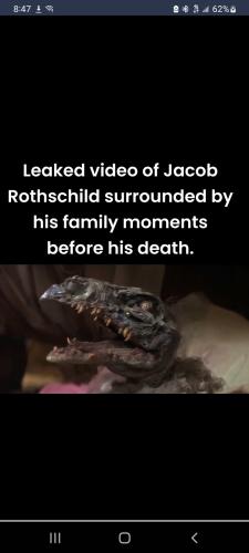 Screenshot_20240226-084759_Twellit