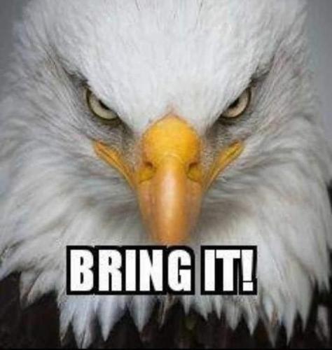 a8cde5eabf6db06b8d57096cc006d08c