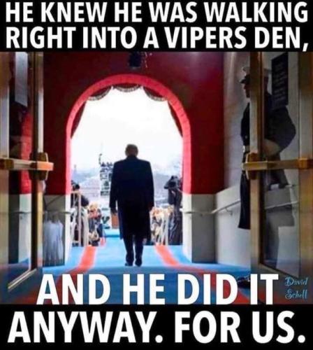 P1hKLwBnKV3c4hU9Qvmj_17_8bfc7cb1ca01ab1d052495056ec1a821_image_original