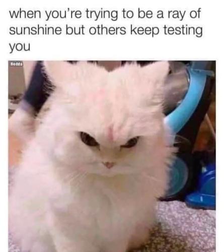 trying-be-ray-sunshine-but-others-keep-testing