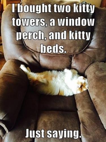 9d231d3ee3ce1abacc4e4483787323fa