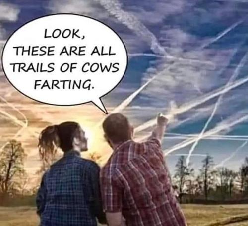 farting cows