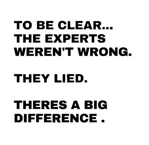 experts_lied_not_wrong