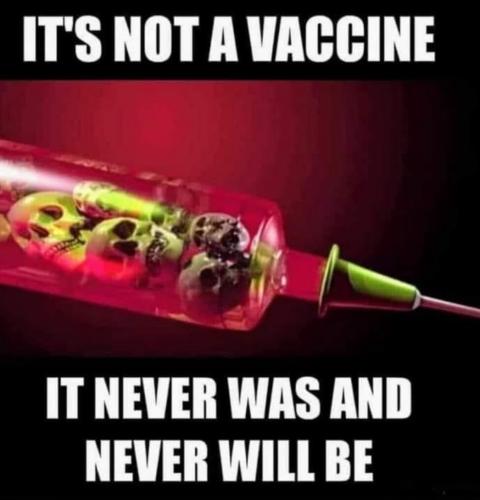 48679B33-3D3D-4008-B5C4-D3FC8A41A5E0