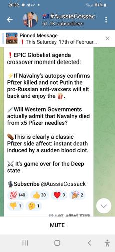 Screenshot_20240218-203254_Telegram