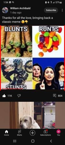 Screenshot_20240218-135409_YouTube