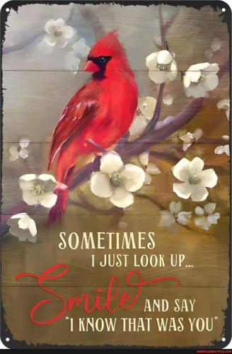 a905bfce22d8d02ce1d4a63a31be01dc71aab853e4493c42dc1d047280bea8e0_1