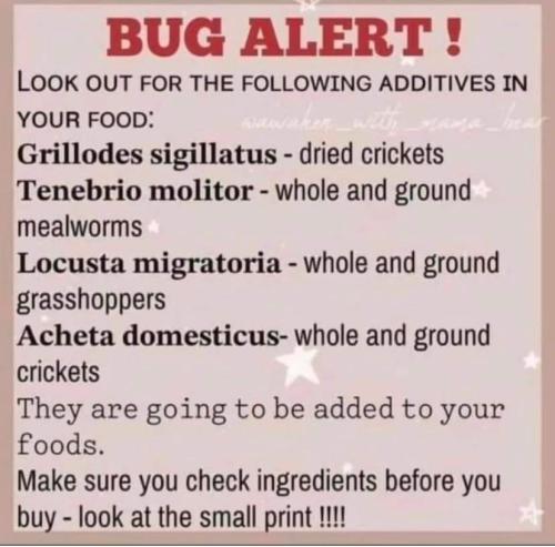 bug alert