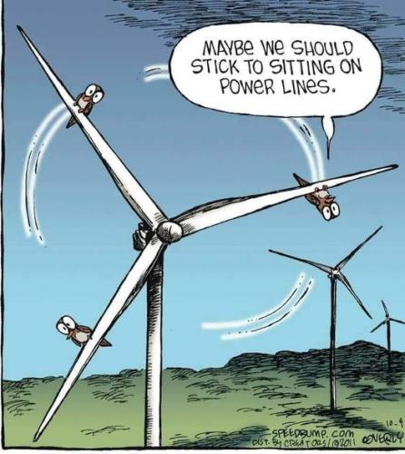 425503668_2063003794076318_5749012173957316611_n