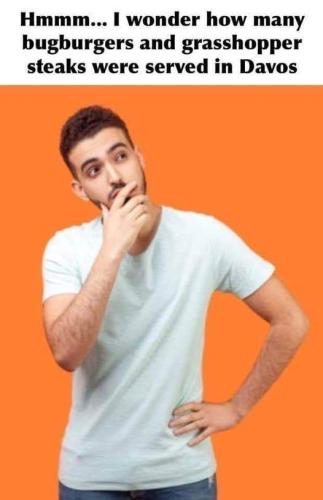 sngine_bd4b81124bc77a9dce2e46ed49a4abca