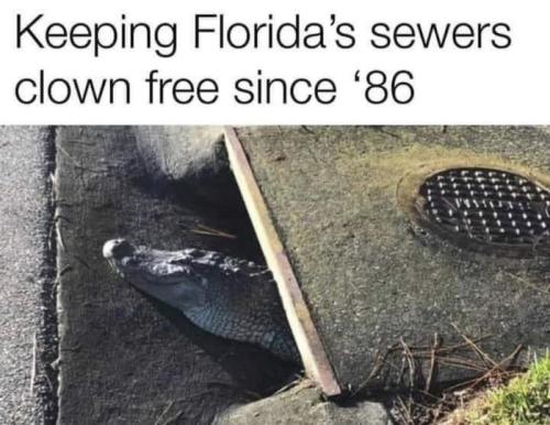 florida