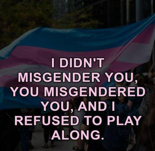 sngine_6b2a5c4e9b7f6b42abe92925546b7d9c