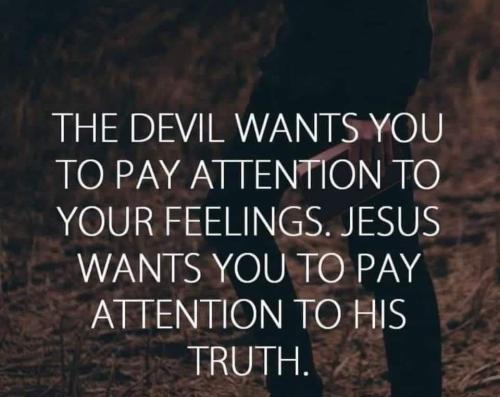 78440835-99f2-4aa1-9dd0-ec4348455553